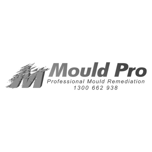 Mould Pro